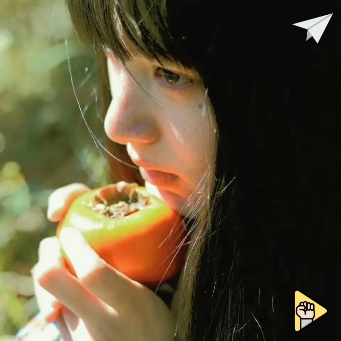 用户评价